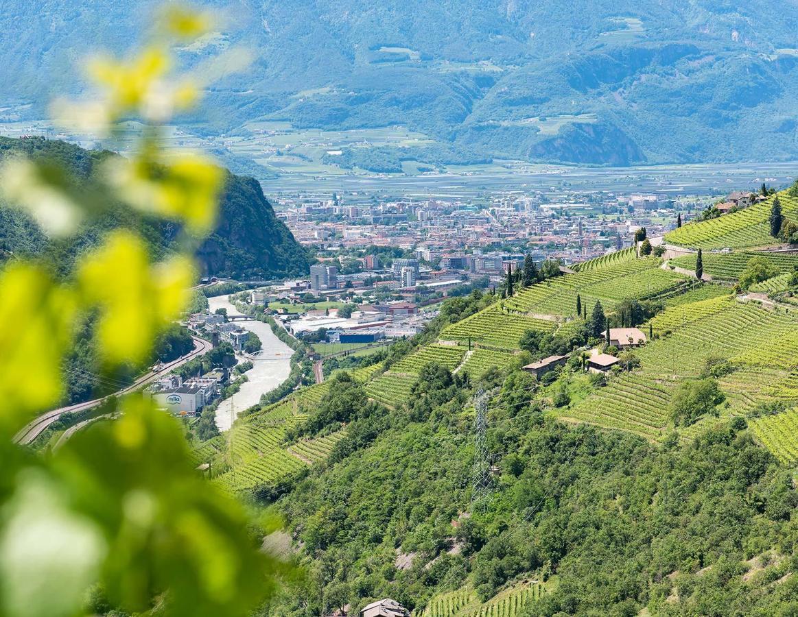 Weingut Schmid Oberrautner Apartment Suites Bolzano Eksteriør billede